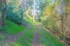 508 Buffalo River Road, Buffalo River, Vic 3737-Image