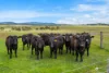 51 Ashworths Road, Lancefield, Vic 3435-Image