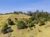 51 Blackgate Road, Amamoor, Qld 4570-Image