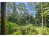 51 Ensbey Road, Flaxton, Qld 4560-Image