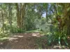 51 Ensbey Road, Flaxton, Qld 4560-Image