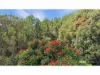 51 Ensbey Road, Flaxton, Qld 4560-Image