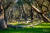 511 Louds Hill Road, Pages Flat, SA 5172-Image
