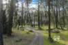 512 Bourkes Creek Road, Pakenham Upper, Vic 3810-Image