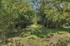512 Sidonia Road, Sidonia, Vic 3444-Image