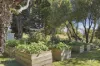 513 Greens Beach Road, York Town, Tas 7270-Image