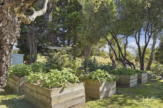 513 Greens Beach Road, York Town, Tas 7270-Image
