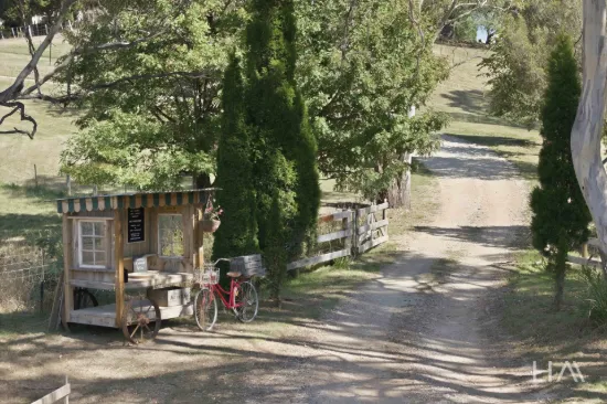 513 Greens Beach Road, York Town, Tas 7270-Image