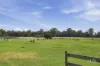 513 Greens Beach Road, York Town, Tas 7270-Image
