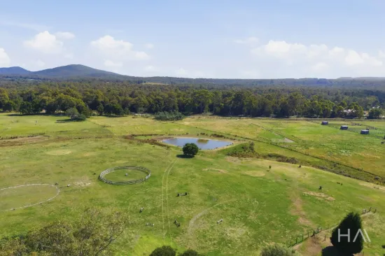 513 Greens Beach Road, York Town, Tas 7270-Image