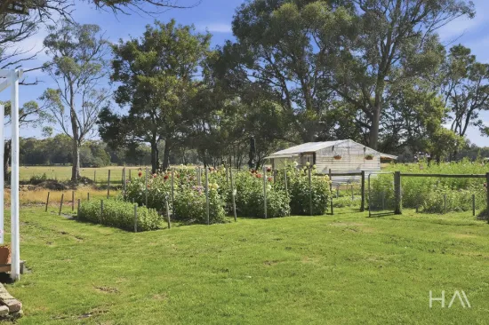 513 Greens Beach Road, York Town, Tas 7270-Image