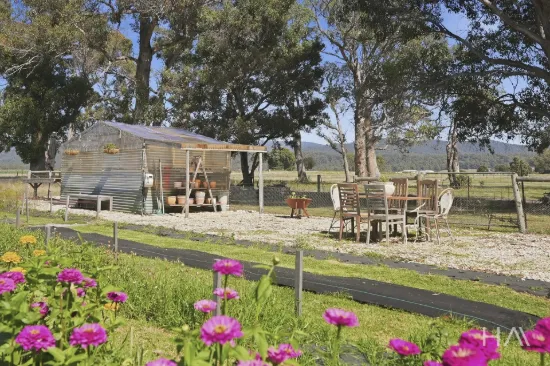 513 Greens Beach Road, York Town, Tas 7270-Image
