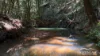 514 Lake Barrine Road, Malanda, Qld 4885-Image
