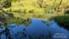 514 Theresa Creek Road, Millaa Millaa, Qld 4886-Image
