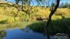 514 Theresa Creek Road, Millaa Millaa, Qld 4886-Image