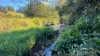 514 Theresa Creek Road, Millaa Millaa, Qld 4886-Image
