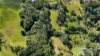 514 Theresa Creek Road, Millaa Millaa, Qld 4886-Image
