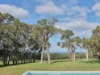 515 Tucks Road, Shoreham, Vic 3916-Image