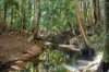 516 Owens Road, Martinsville, NSW 2265-Image