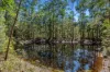516 Owens Road, Martinsville, NSW 2265-Image