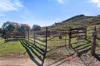 517 White Rocks Road, Lewis Ponds, NSW 2800-Image