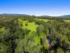 5178 Kyogle Road, Cawongla, NSW 2474-Image