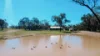 51L Minore Road, Dubbo, NSW 2830-Image