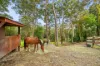 52 Lara Drive, Buderim, Qld 4556-Image