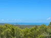 52 Wright Road, Grasstree Beach, Qld 4740-Image