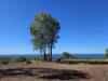 52 Wright Road, Grasstree Beach, Qld 4740-Image