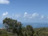 52 Wright Road, Grasstree Beach, Qld 4740-Image