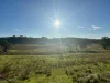 520 Range Road, Meadow Flat, NSW 2795