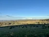 520 Range Road, Meadow Flat, NSW 2795-Image