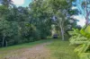 5236 Abergowrie Road, Abergowrie, Qld 4850-Image