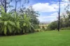 5236 Abergowrie Road, Abergowrie, Qld 4850-Image