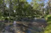 52B Syndicate Road, Tallebudgera Valley, Qld 4228-Image