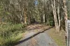 53 Country Court, Park Ridge, Qld 4125-Image