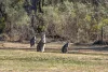 53 Kingston Road, Stanthorpe, Qld 4380-Image