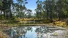 53 Millers Road, Cattai, NSW 2756-Image