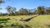 53 Millers Road, Cattai, NSW 2756-Image