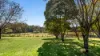 53 Millers Road, Cattai, NSW 2756-Image