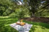 530-542 &  Upper Crystal Creek Road, Upper Crystal Creek, NSW 2484-Image