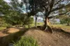 530-542 &  Upper Crystal Creek Road, Upper Crystal Creek, NSW 2484-Image