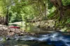 530-542 &  Upper Crystal Creek Road, Upper Crystal Creek, NSW 2484-Image