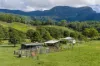 530-542 &  Upper Crystal Creek Road, Upper Crystal Creek, NSW 2484-Image