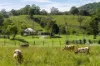 530-542 &  Upper Crystal Creek Road, Upper Crystal Creek, NSW 2484-Image