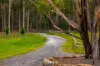 532 Jilliby Road, Jilliby, NSW 2259-Image
