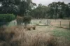 5368 Strathbogie Rd, Emmaville, NSW 2371-Image
