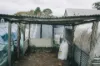 5368 Strathbogie Rd, Emmaville, NSW 2371-Image