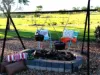 5379 Mount Lindesay Road, Liston, NSW 2372-Image